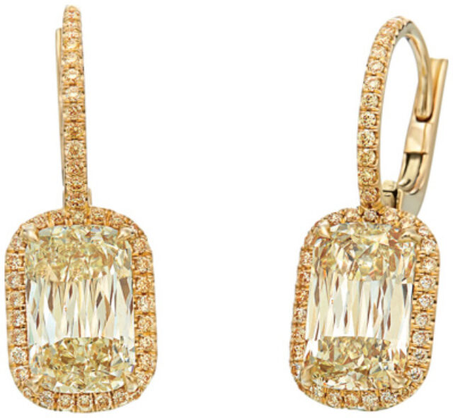 ASHOKA Fancy Color Datia Earrings E2977