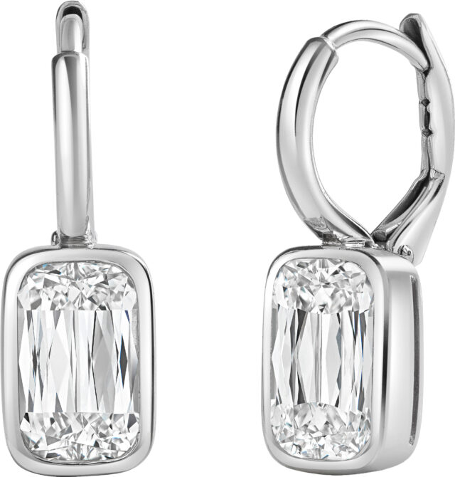 Ashoka datia bezel earrings e3576