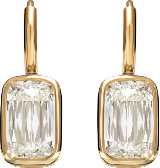 Ashoka datia bezel set earrings e3499