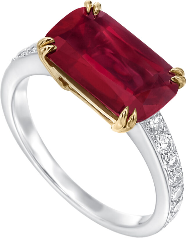 Ashoka lisa ring r3818 v1