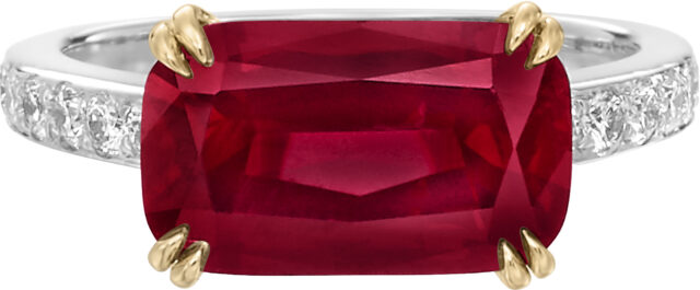 Ashoka lisa ring r3818 v2