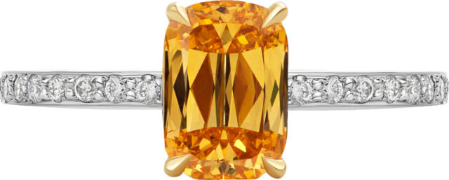 Ashoka lisa ring r5226