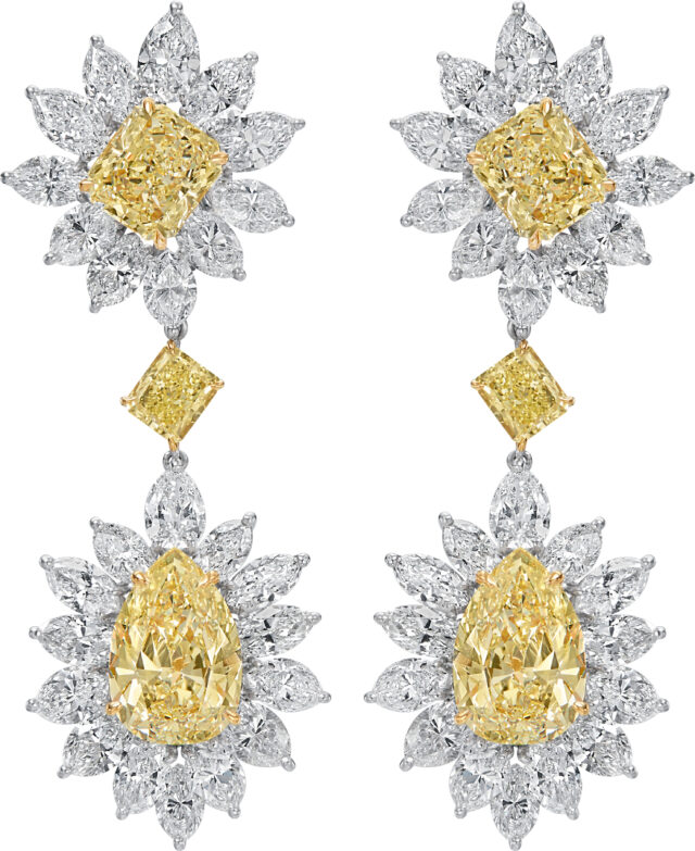 Fancy Shape Chandelier Earrings E3421