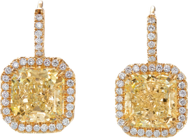 Radiant Datia Earrings E3393