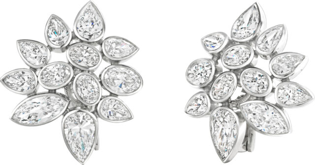 Liliya cluster earrings e3547