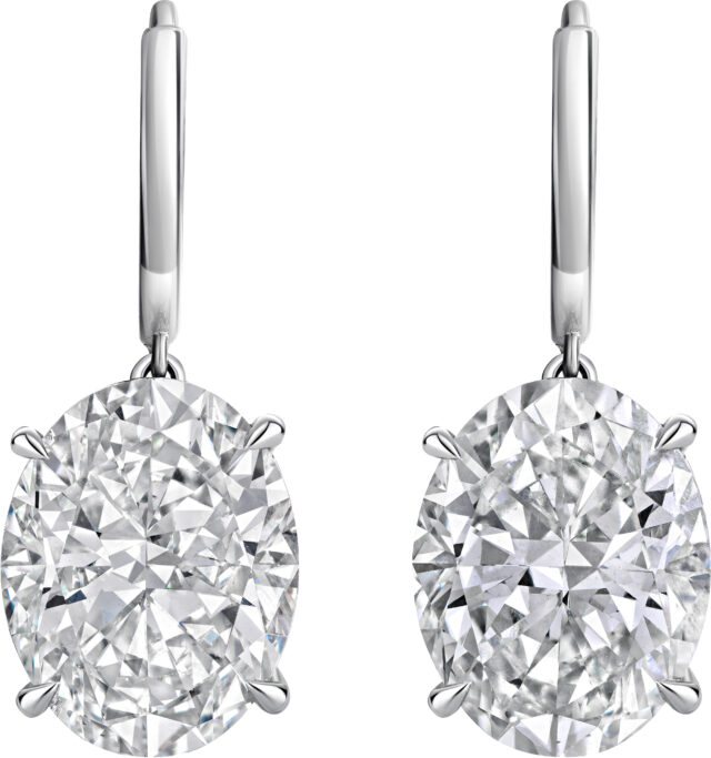 Oval swing drop earrings e3579