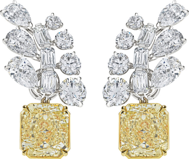 Radiant lady fern cluster earrings e3494